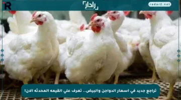 تراجع جديد في أسعار الدواجن والبيض.. تعرف على القيمة المحدثة الآن!